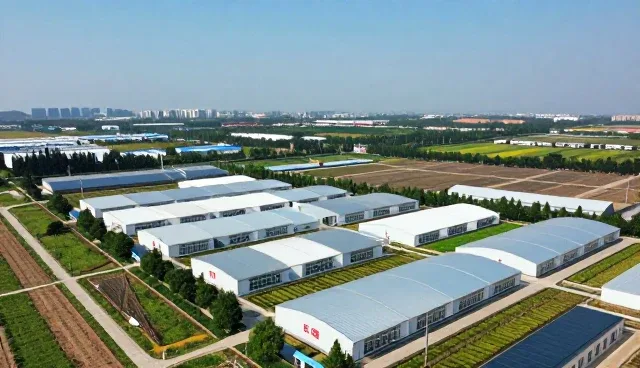 隐私保护技术咨询中的常见问题及应对策略