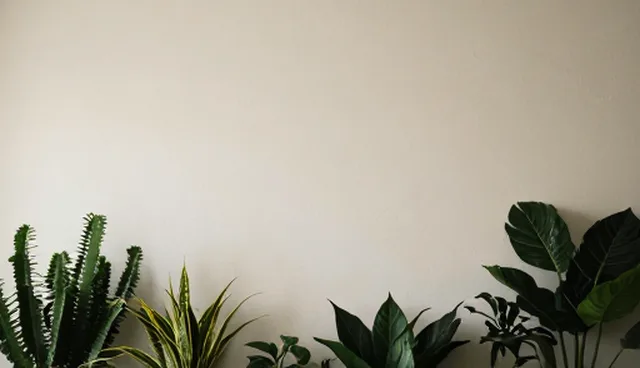 技术咨询中系统优化的常见误区与正确理解